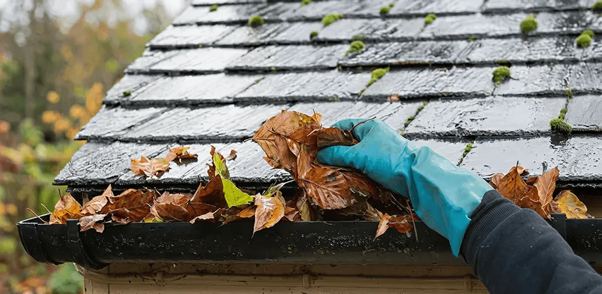 Gutter cleaning technician clearing wet leaves from roof gutters in Minneapolis, MN